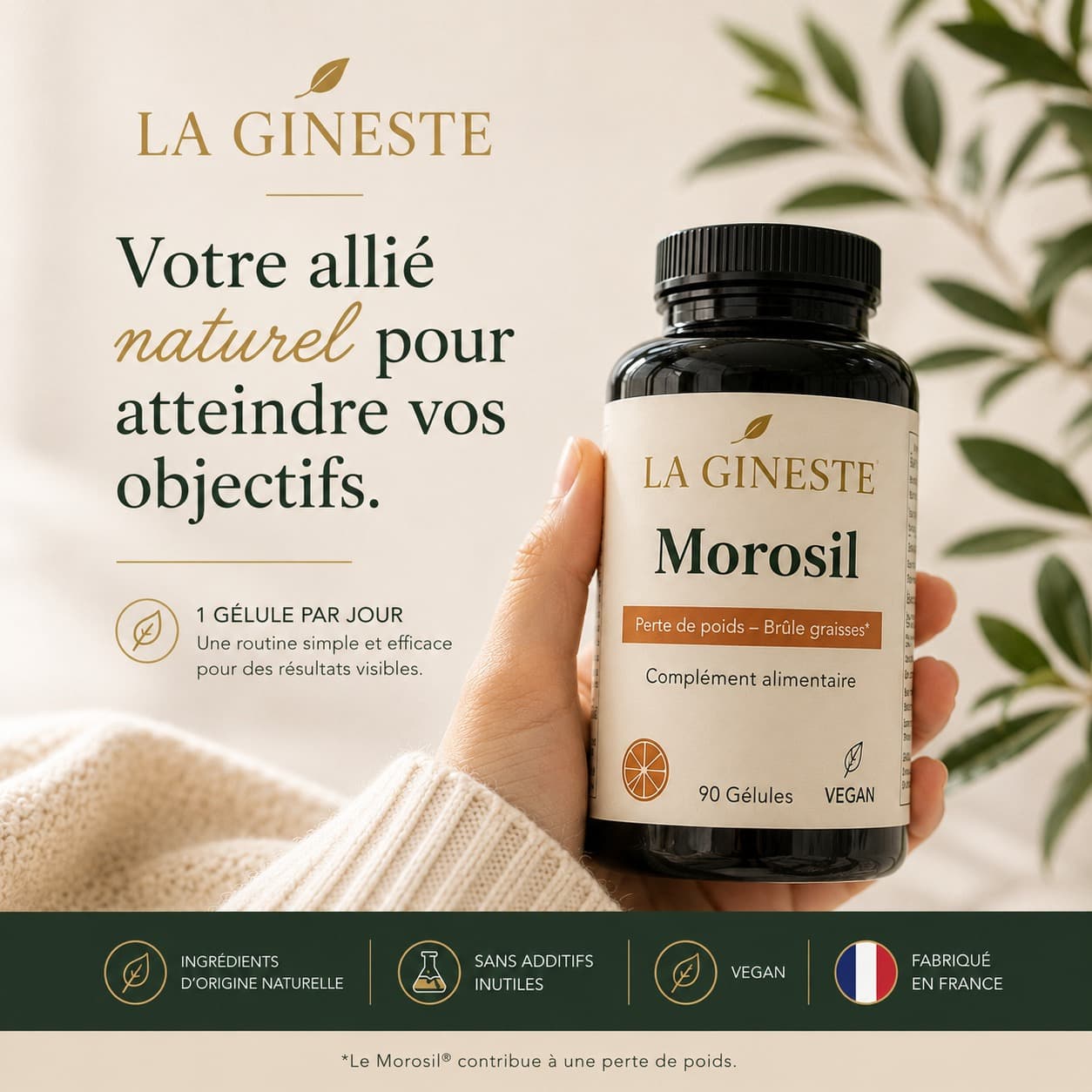 Univers Morosil La Gineste
