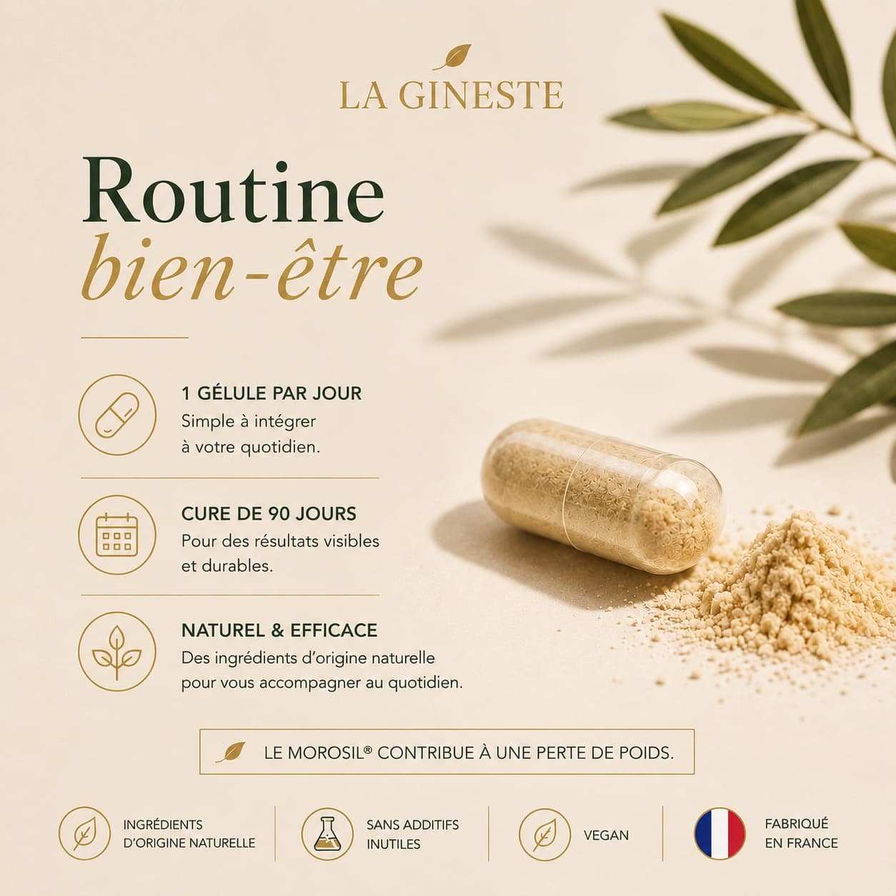Comment utiliser Morosil, 1 gélule par jour